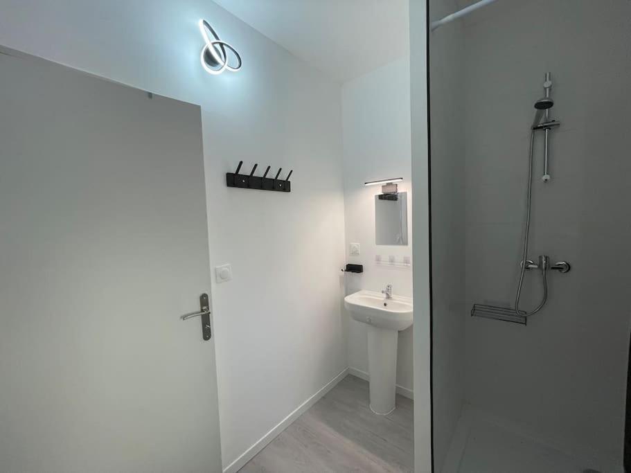 Studio A2 18M2 Cosy 5Minutes Gare Parking Gratuit Rue De La Mure Roanne Esterno foto