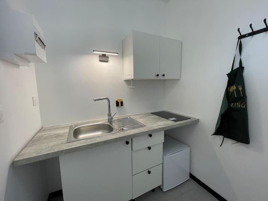 Studio A2 18M2 Cosy 5Minutes Gare Parking Gratuit Rue De La Mure Roanne Esterno foto